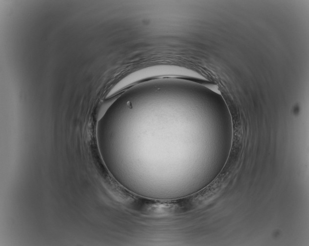 X0000097460323200802291242