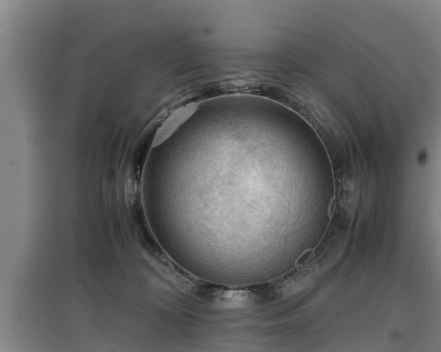 X0000097460324200802291242