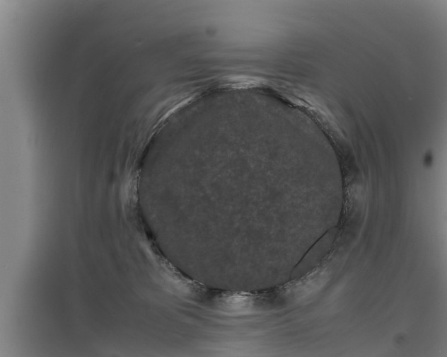 X0000097460325200802291242