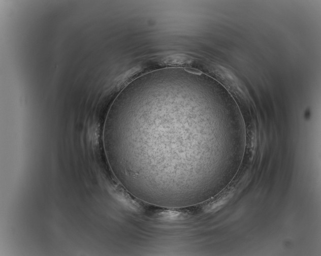 X0000097460326200802291242