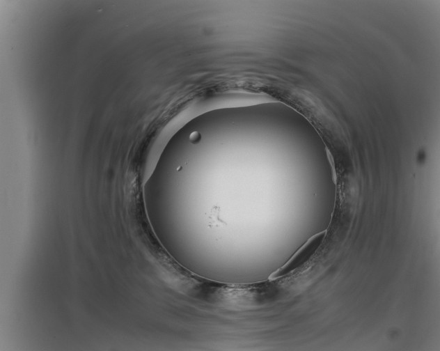 X0000097460327200802291242