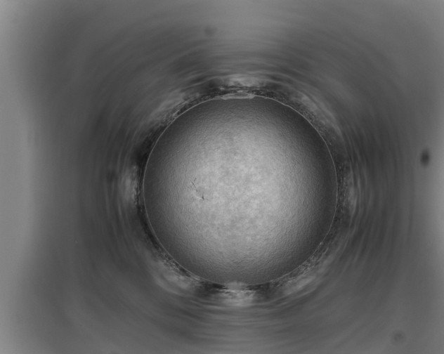 X0000097460328200802291242