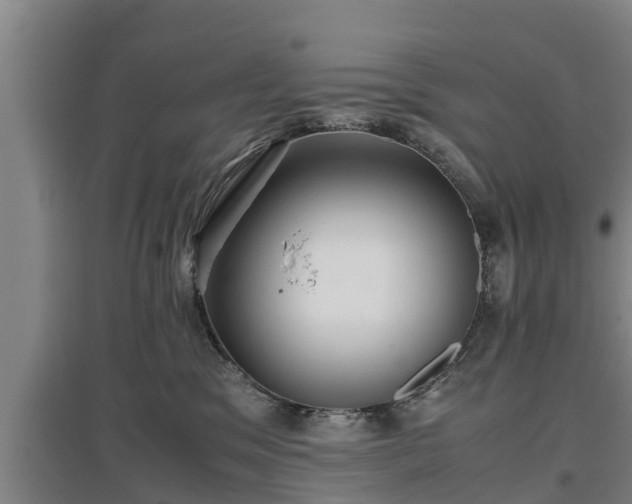 X0000097460329200802291242