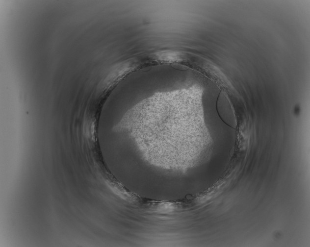 X0000097460330200802291242