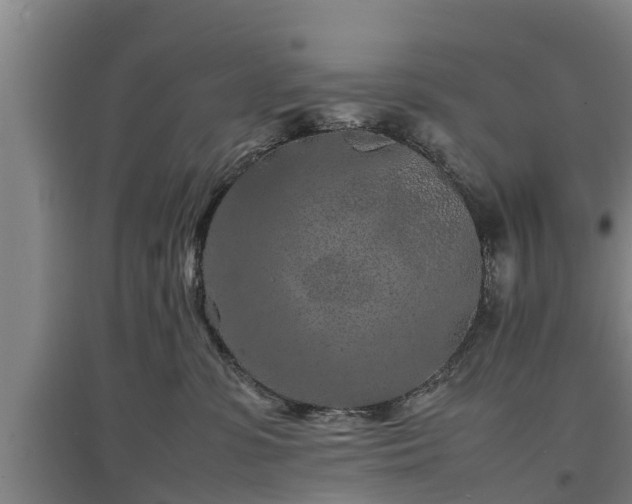 X0000097460331200802291242