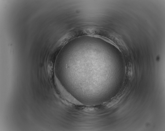 X0000097460332200802291242