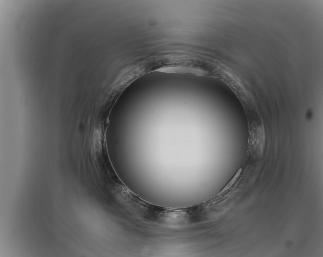 X0000097460333200802291242