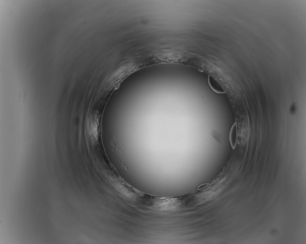 X0000097460334200802291242