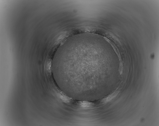 X0000097460336200802291242