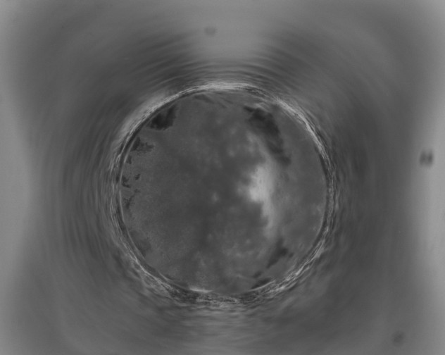 X0000097460337200802291241