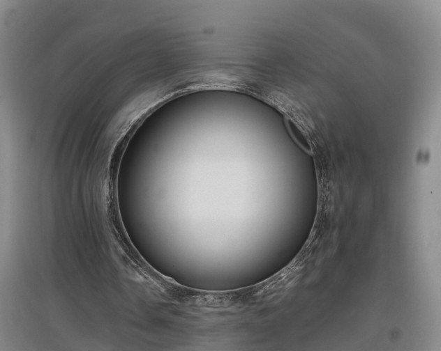 X0000097460338200802291241