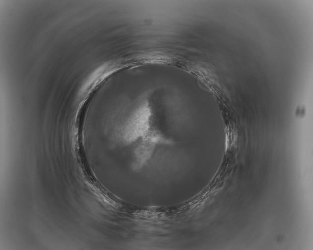 X0000097460339200802291241