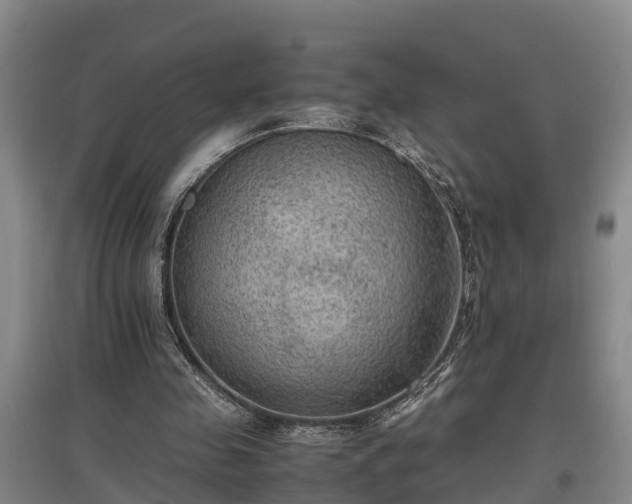 X0000097460341200802291241