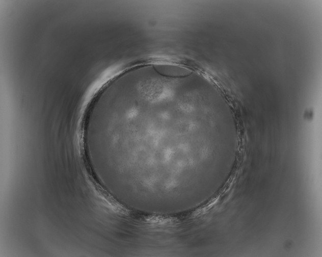 X0000097460343200802291241