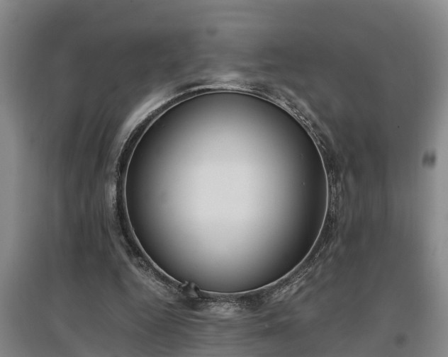 X0000097460344200802291241