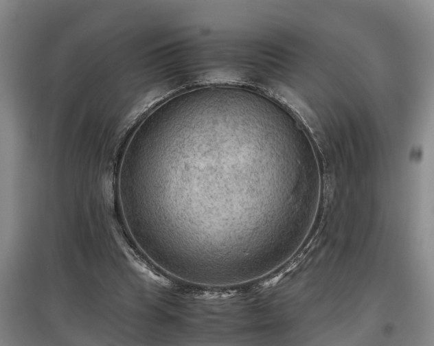 X0000097460345200802291241