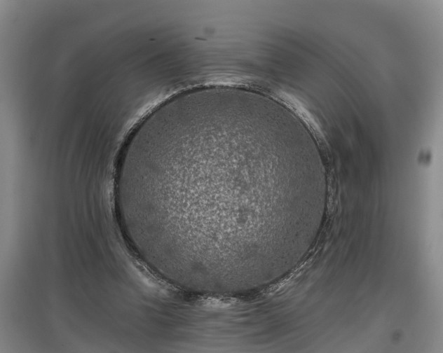 X0000097460346200802291241