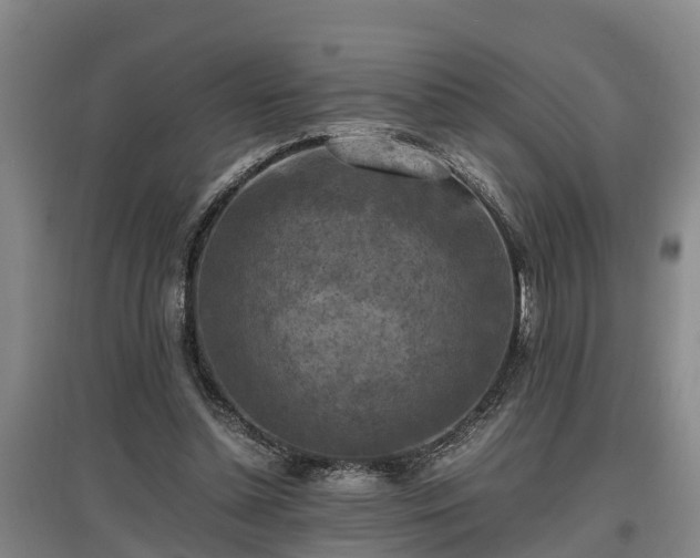 X0000097460348200802291241