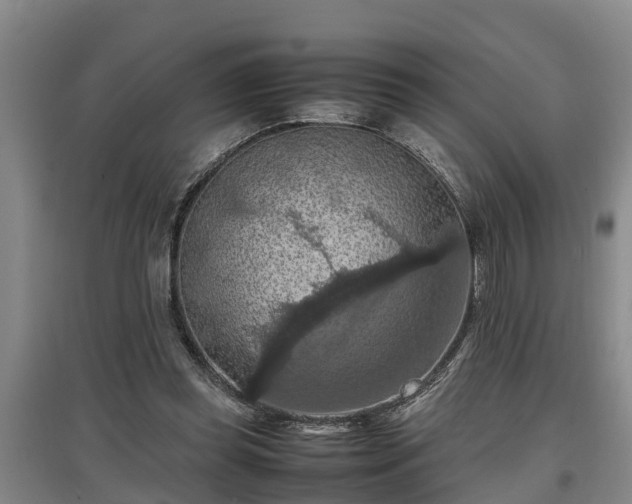 X0000097460349200802291241