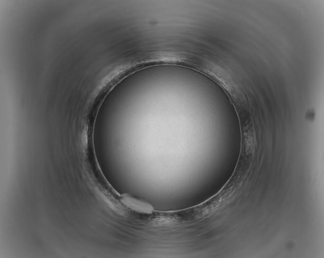 X0000097460350200802291241