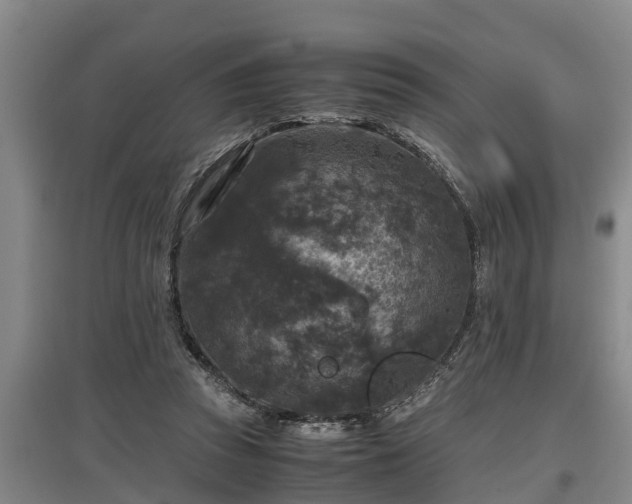 X0000097460353200802291241