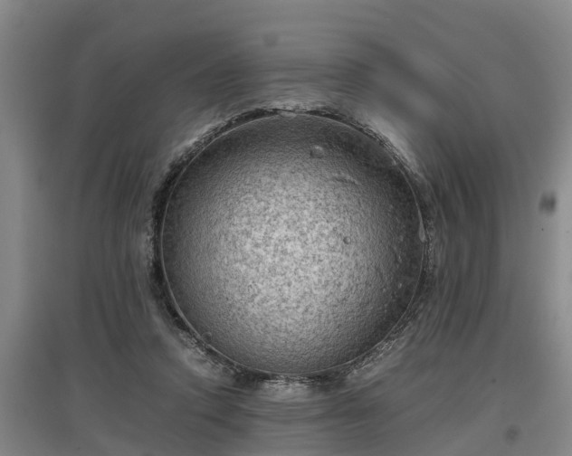 X0000097460354200802291241