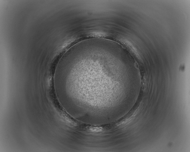 X0000097460355200802291241