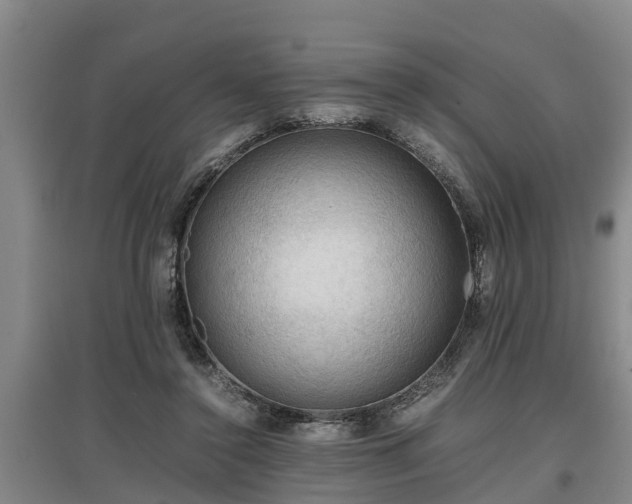 X0000097460356200802291241