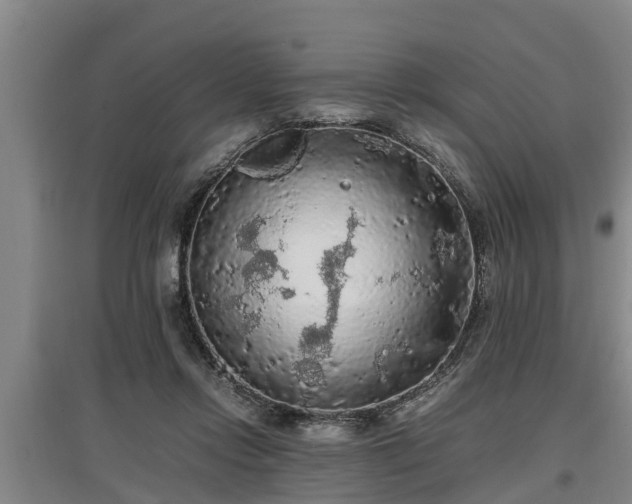 X0000097460358200802291241