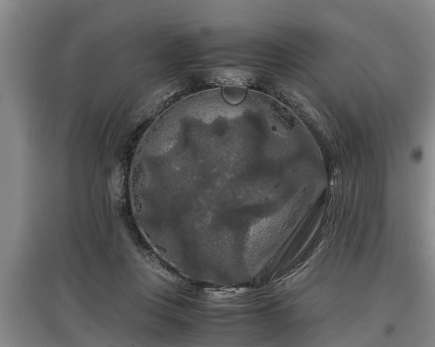 X0000097460359200802291241