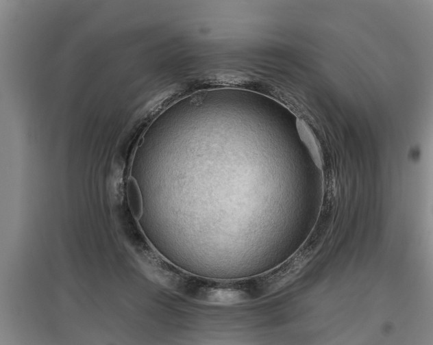 X0000097460360200802291241