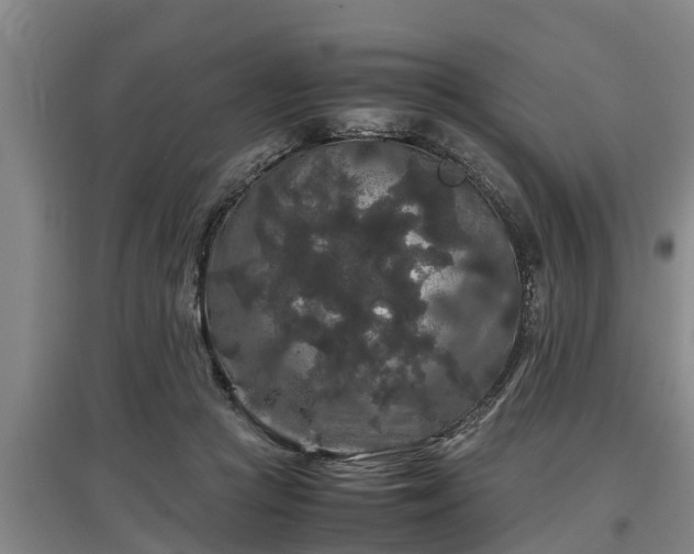 X0000097460361200802291241