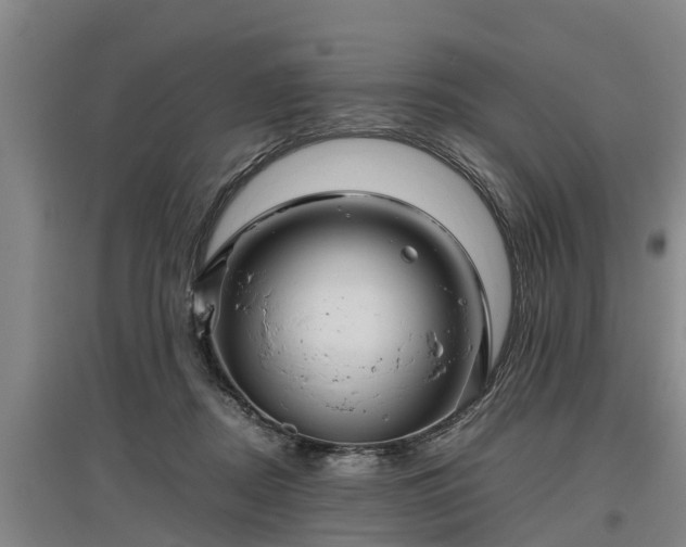 X0000097460362200802291242