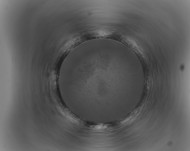 X0000097460366200802291242