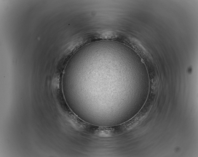 X0000097460368200802291242