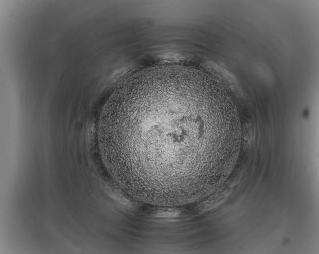 X0000097460369200802291242