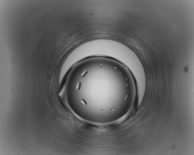 X0000097460370200802291242