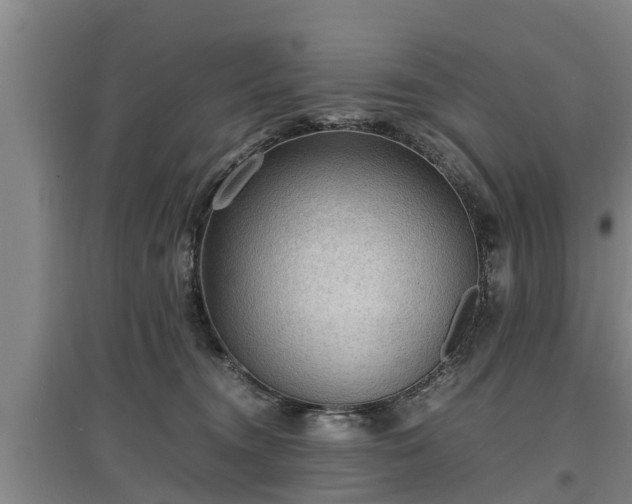 X0000097460372200802291242