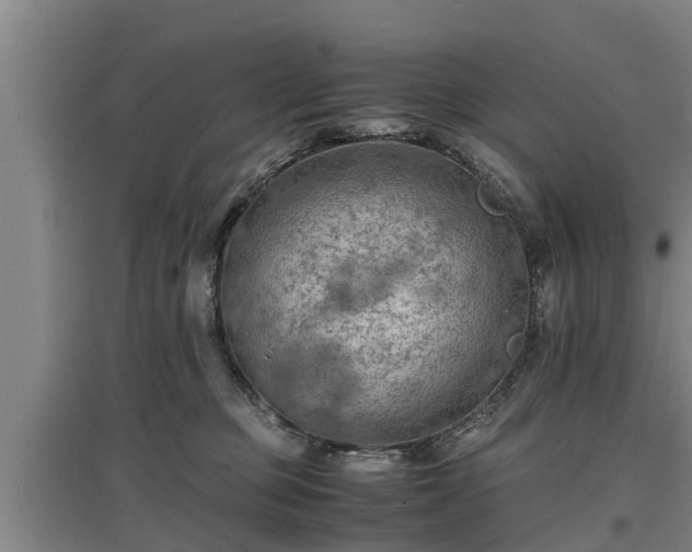 X0000097460373200802291242