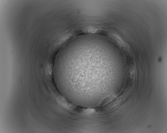 X0000097460374200802291242