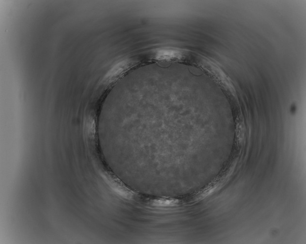 X0000097460375200802291242