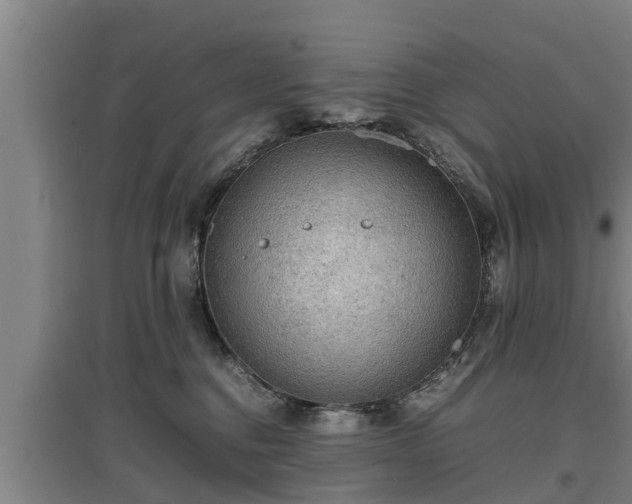 X0000097460376200802291242