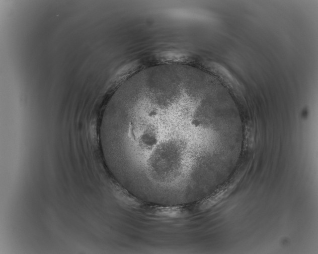 X0000097460377200802291242