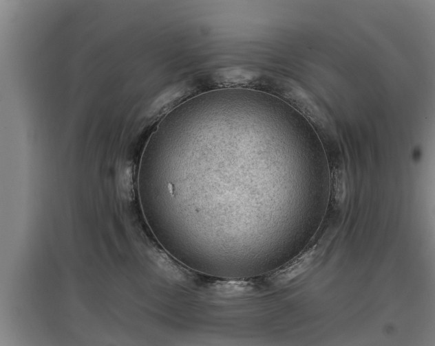 X0000097460378200802291242