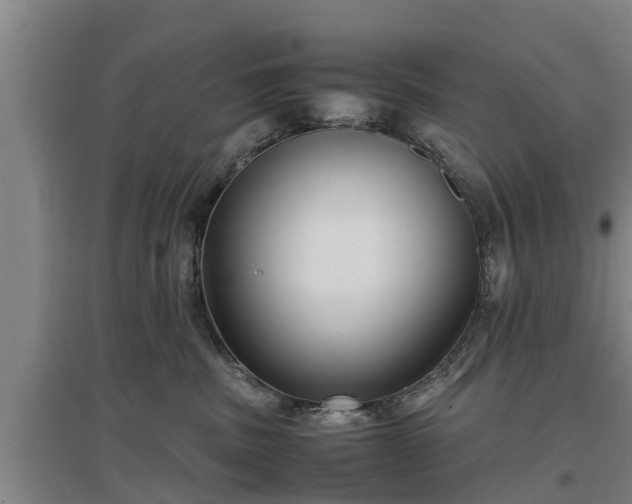 X0000097460379200802291242