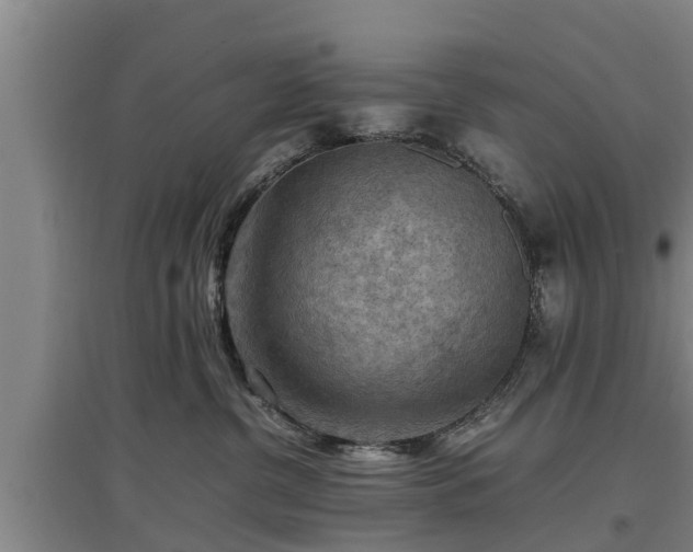 X0000097460380200802291242