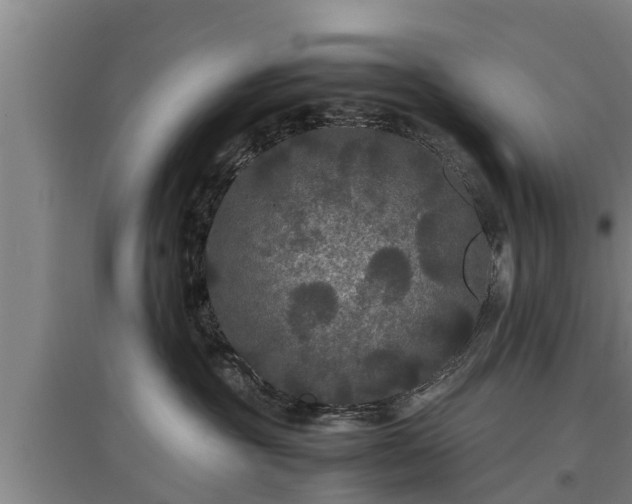 X0000097460381200802291242