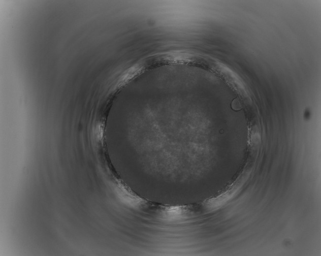 X0000097460382200802291242