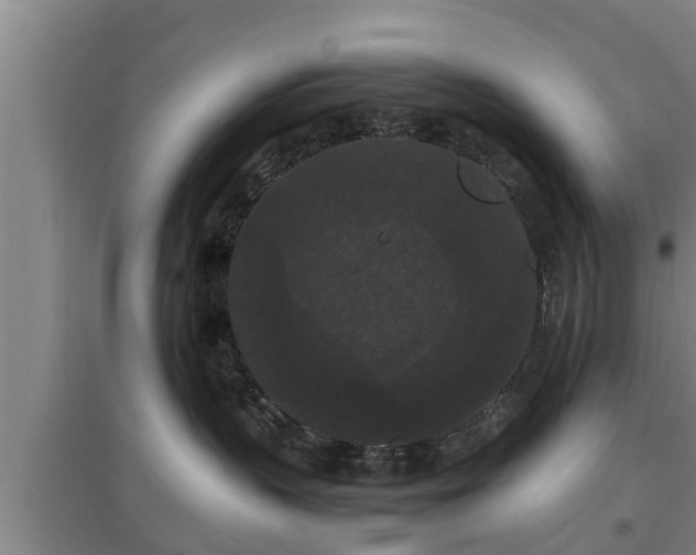 X0000097460383200802291242