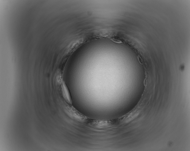 X0000097460384200802291242